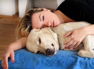 Studie visar att kvinnor sover bättre bredvid en hund
