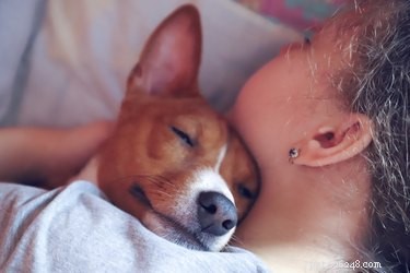 Estudo descobriu que as mulheres dormem melhor ao lado de um cachorro