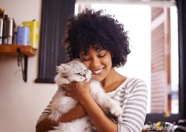 Come praticare la cura di sé con il tuo gatto o cane