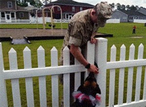 あなたが別れた後、あなたの犬はあなたの元を覚えていますか？