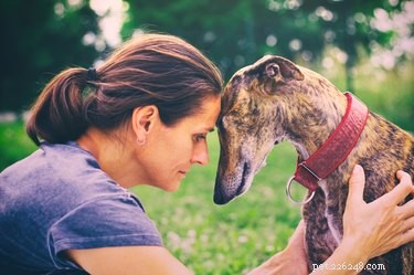 Jak vaše nálada a chování ovlivňují vašeho psa