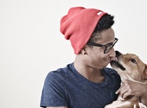 Älskar hundar människor mer än katter gör?