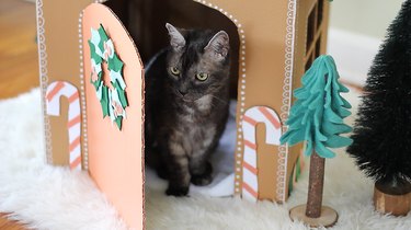 오래된 상자를 사용하여 애완 동물을 위한 축제용 판지 진저브레드 하우스를 만드는 방법