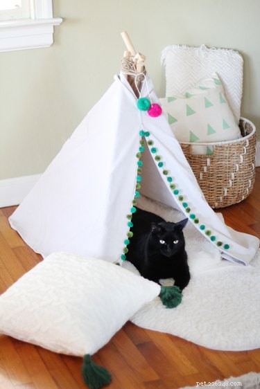 20달러 미만으로 바느질이 필요 없는 애완동물 텐트 만들기