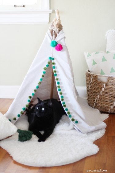 20달러 미만으로 바느질이 필요 없는 애완동물 텐트 만들기