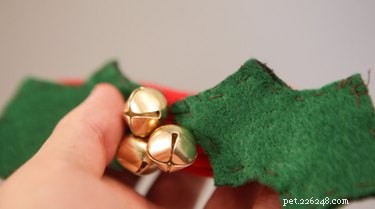 Comment fabriquer soi-même un collier de Noël pour chien