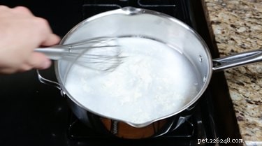 Come preparare un latte macchiato di zucca per il tuo cane