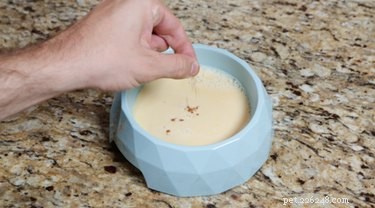 Come preparare un latte macchiato di zucca per il tuo cane
