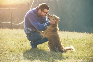 Pourquoi le lien entre les humains et les chiens est similaire à celui entre parents et enfants