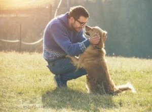 Varför bandet mellan människor och hundar liknar förälder och barn