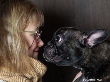 Почему связь между людьми и собаками похожа на связь родителей и детей