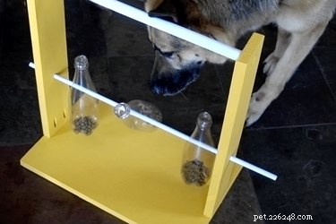 Hoe maak je een puzzelvoeder voor draaiende flessen voor honden