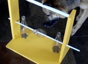 Como fazer um alimentador de quebra-cabeça de garrafa giratória para cães