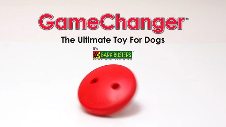 8 hraček, které zabaví vašeho psa