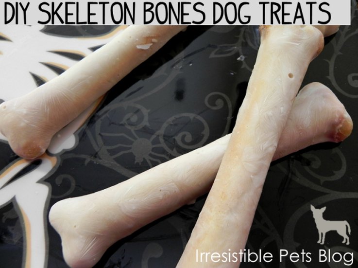 10 spookachtige zelfgemaakte Halloween-snoepjes voor honden