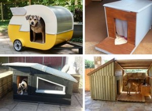 10 otroliga DIY-hundhus med planer
