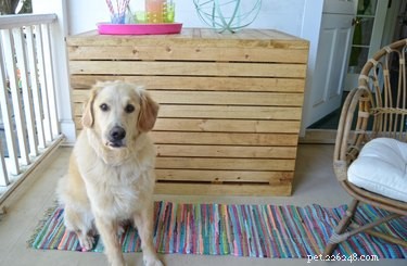 Come realizzare una copertura per la cassa del cane in legno fai da te