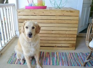 Como fazer uma capa de caixa de madeira para cães DIY