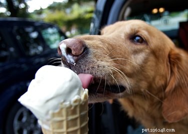 12 geheime menu-items voor honden bij populaire restaurants