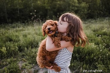 犬はキスが何であるか知っていますか？ 