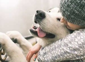 Les chiens ressentent-ils de l amour et de la haine ?