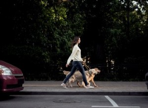 Combien de temps faut-il pour que le caca de chien se décompose ?