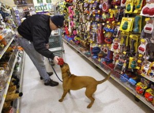 Comment retourner des aliments à PetSmart