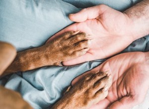 Comment se débarrasser des pieds Frito