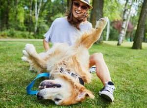 ひまし油とオリーブオイルで犬を入浴させる方法 