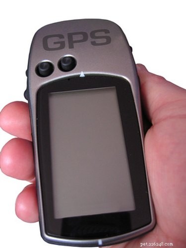 Um chip GPS para animais de estimação