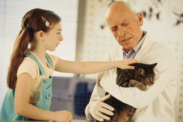 La storia dei veterinari