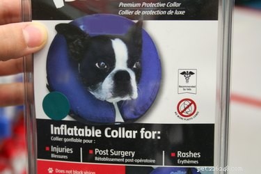 Dog Cone Alternatives