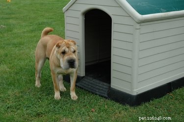 Jak vyrobit psí boudu z lepenky