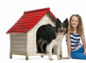 安い犬小屋を作る方法 