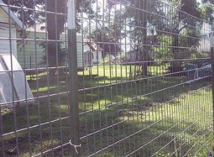 Jak postavit skvělý psí plot odolný proti úniku
