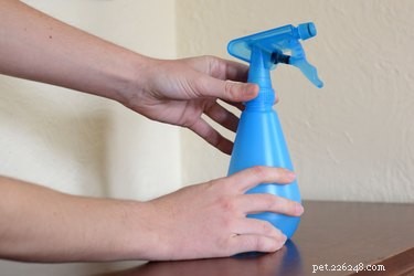 Como fazer spray de perfume para cães