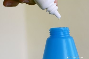 Hoe maak je hondenparfumspray