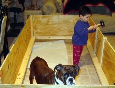 Как сделать ящик для щенков