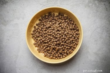 Jak vyrobit domácí suché krmivo pro psy