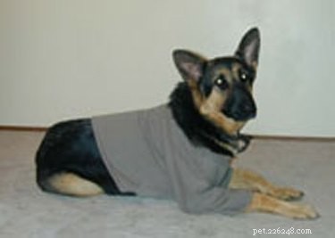 犬のスウェットシャツの作り方 