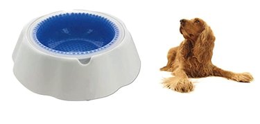 6 produtos de refrigeração para manter seu cão seguro e confortável no calor