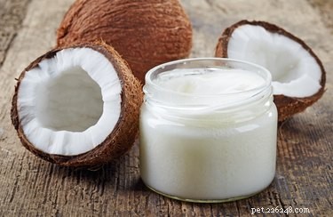 Je kokosový olej bezpečný pro psy?