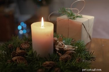 Le candele profumate sono sicure per i cani?