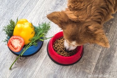 Meilleures marques d aliments pour chiens