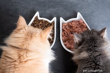 Come leggere le etichette degli alimenti per animali domestici
