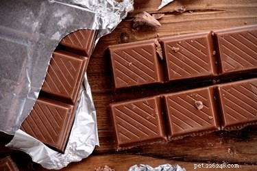 犬がチョコレートを食べたらどうすればいいですか？ 
