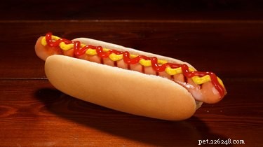 I cani possono mangiare hot dog?