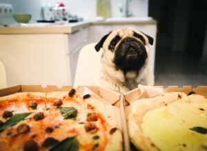 Kunnen honden pizza eten?