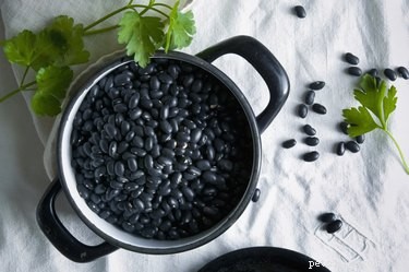 Mohou psi jíst černé fazole?
