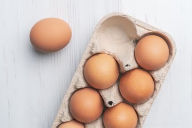 Kunnen honden rauwe eieren eten?